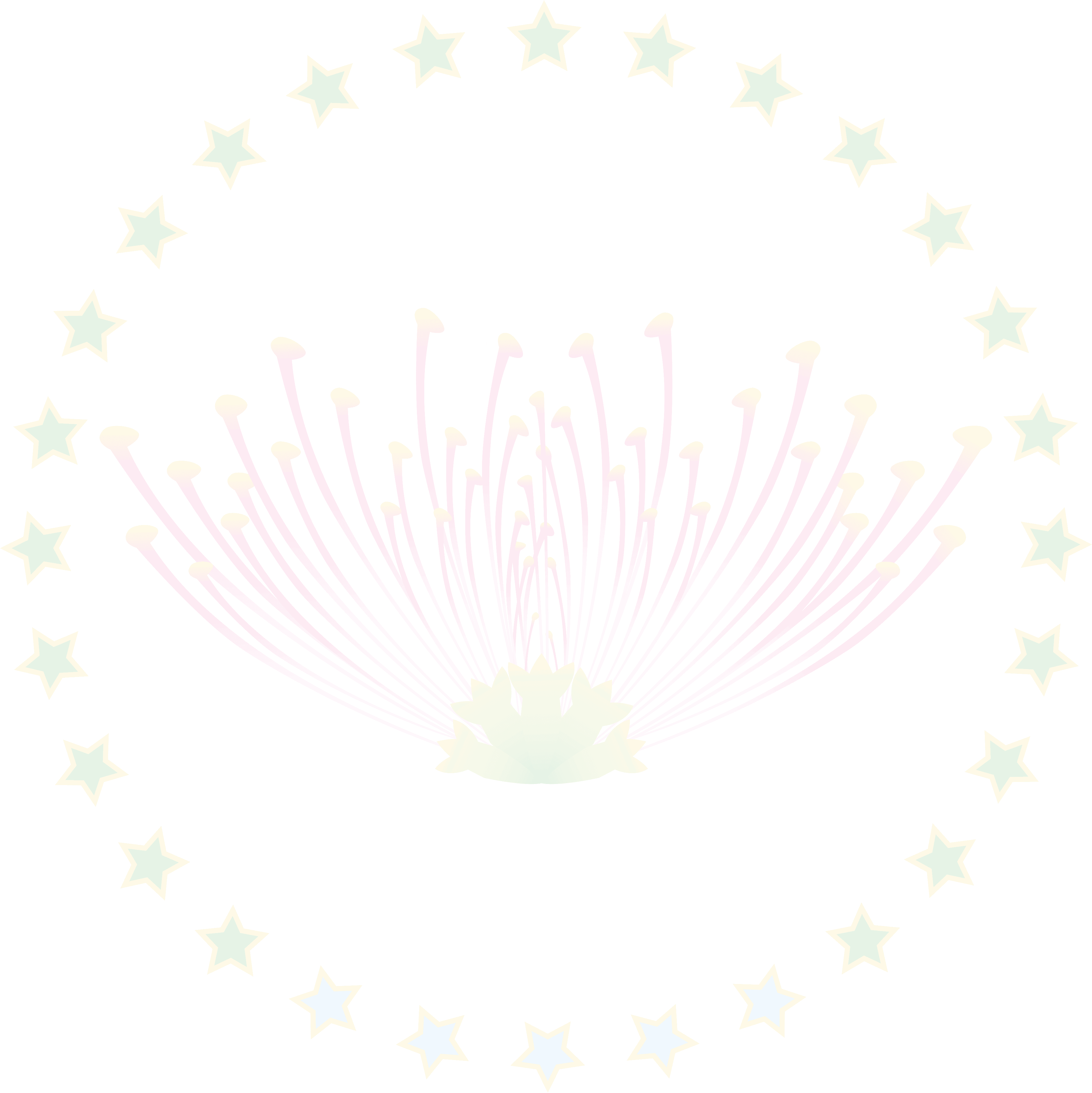 Vagai Flower and Stars