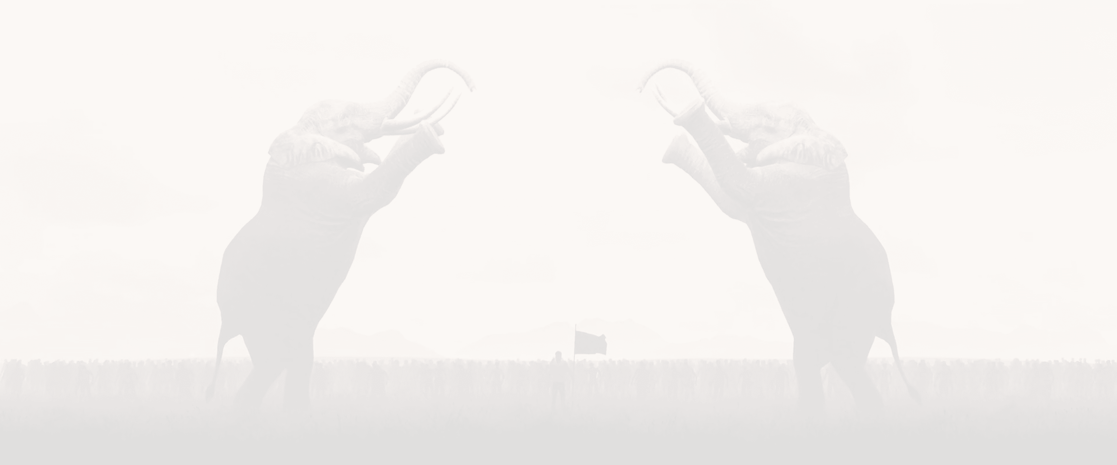 Two Elephants BG Image